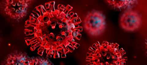 Ricerca, isolato e sequenziato il genoma di due virus Sars-Cov-2